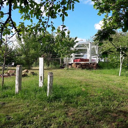Glashaus Sternblick, Schlafen Unterm Sternenhimmel Neustadt am Kulm Kültér fotó